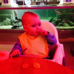Eating at Sealife