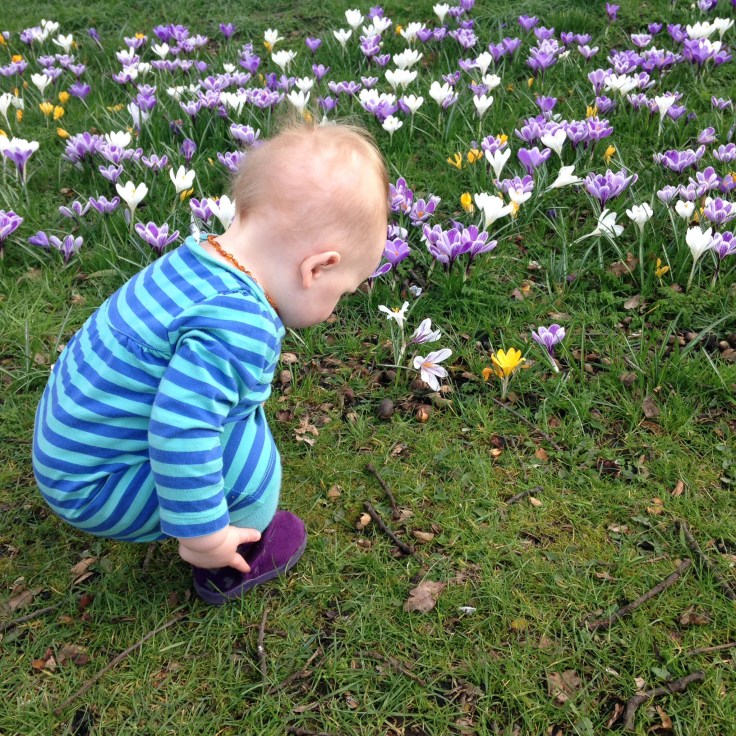 Playing with flowers