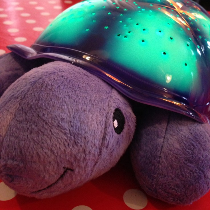 Twilight Turtle Head