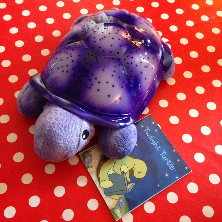 Cloud B a Twilight Turtle and Book