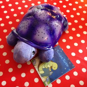 Cloud B a Twilight Turtle and Book