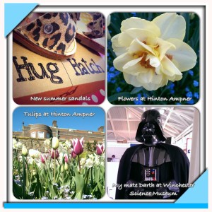 My week in pictures 3