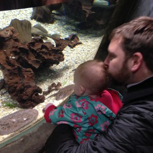Freshwater Sting Ray