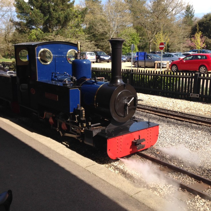 Steam Train at Exbury Gardens