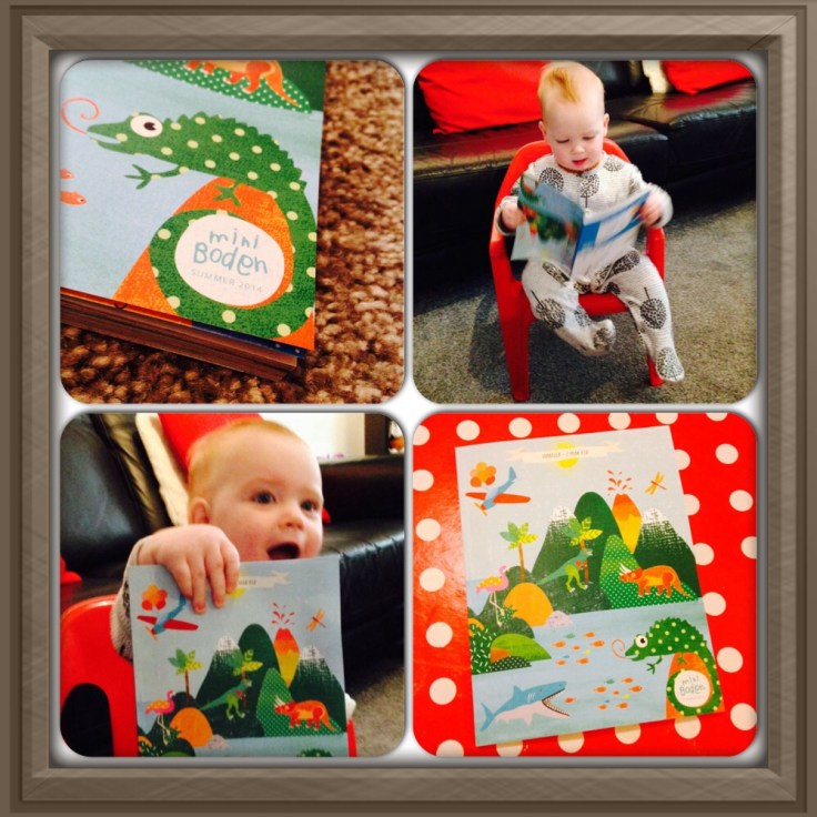 Boden finished Cover