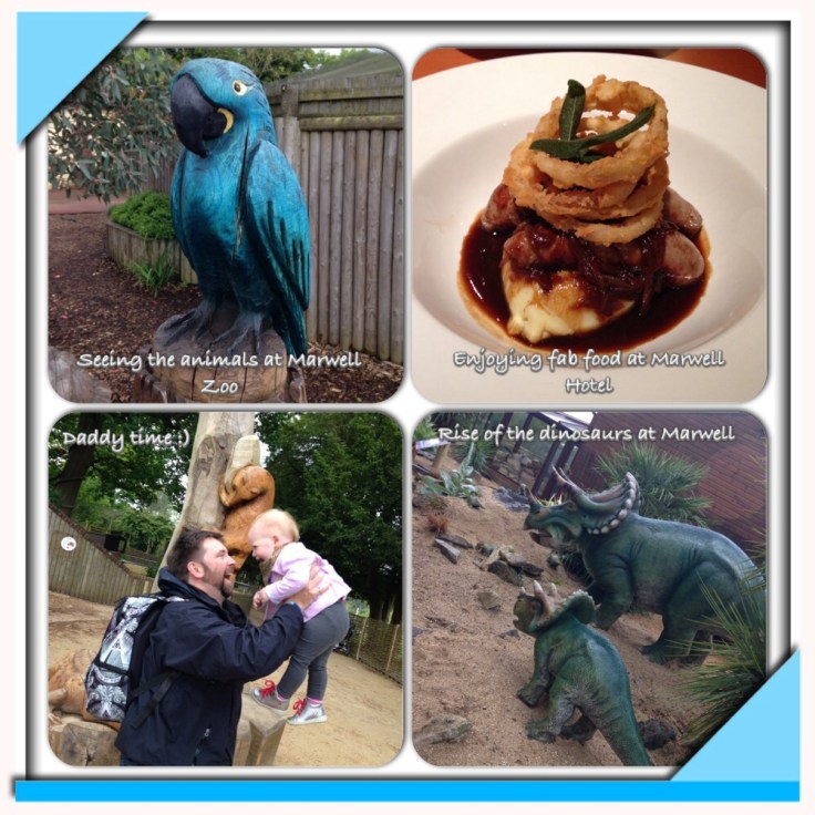 My week in pictures 2