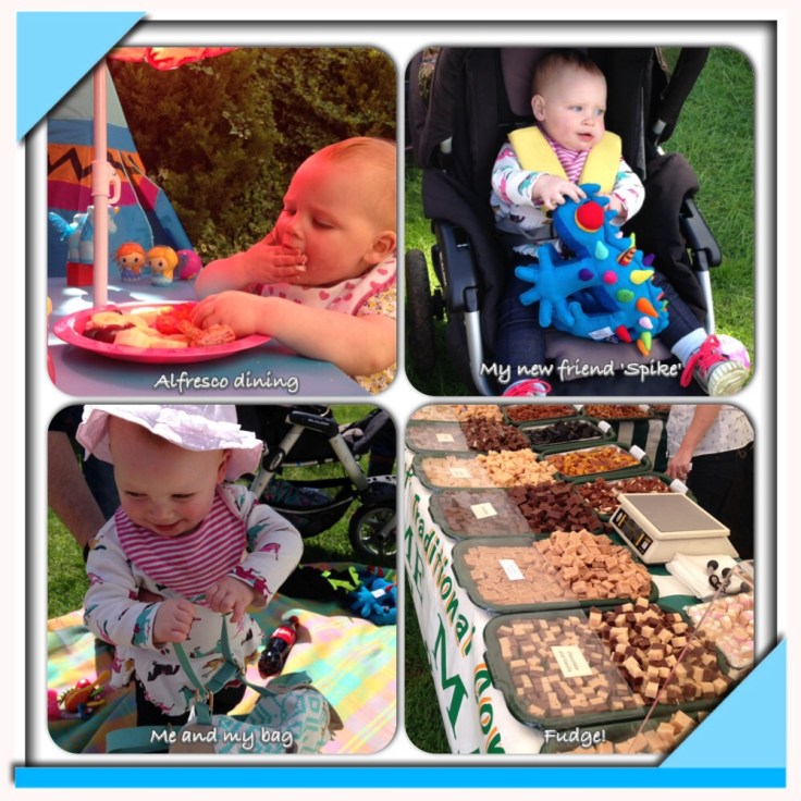 My week in pictures 2