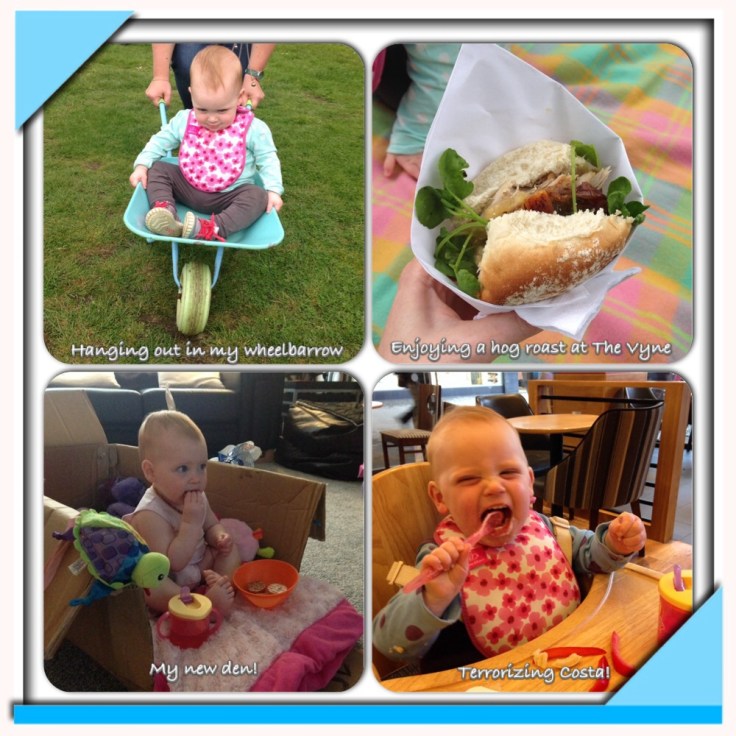 My week in pictures 3