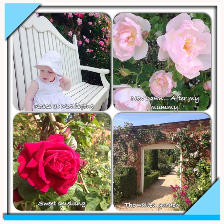 My week in pictures 4