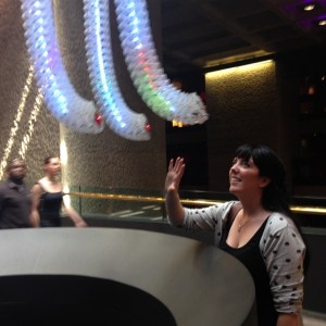 The Petting Zoo at Digital Revolution