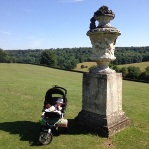 Polesden Lacey views