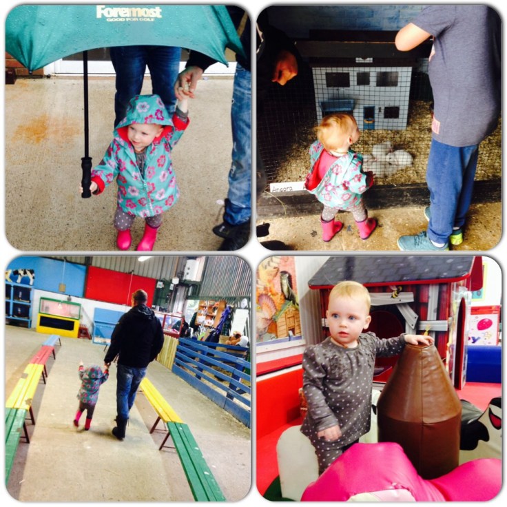 Finkley Down Farm in the rain