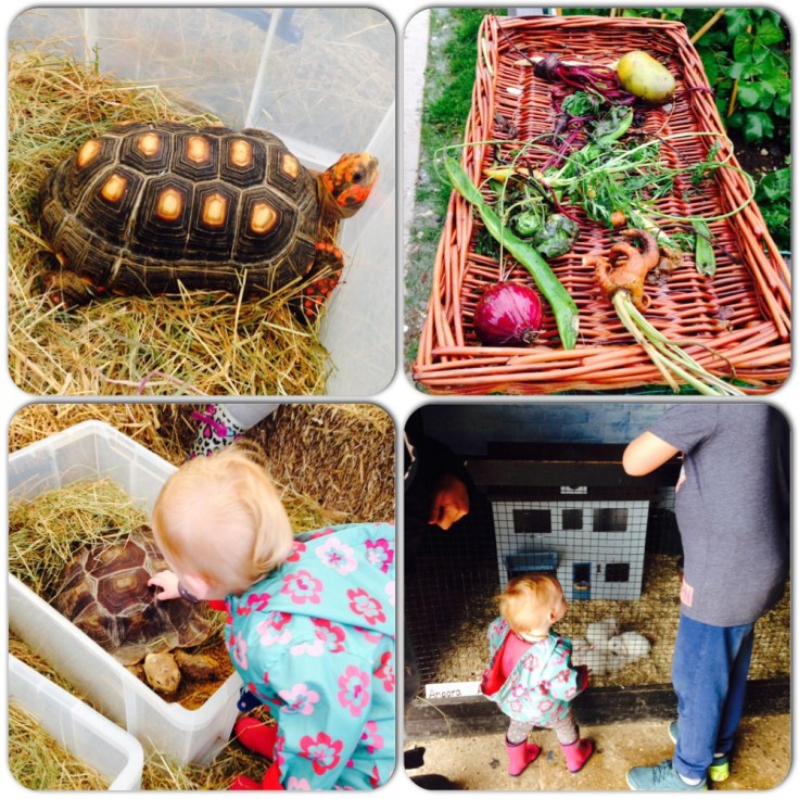 Finkley Down Farm, Andover