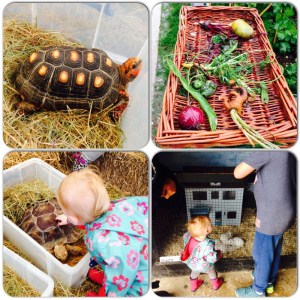 Finkley Down Farm, Andover