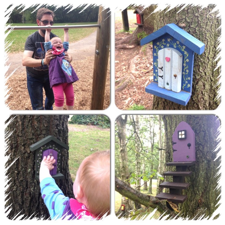 Enchanted forest at Wellington Country Park