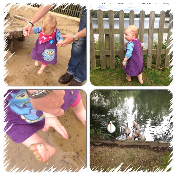 Wellington Country Park lake