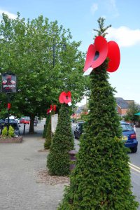 3-Paper poppies in the village square