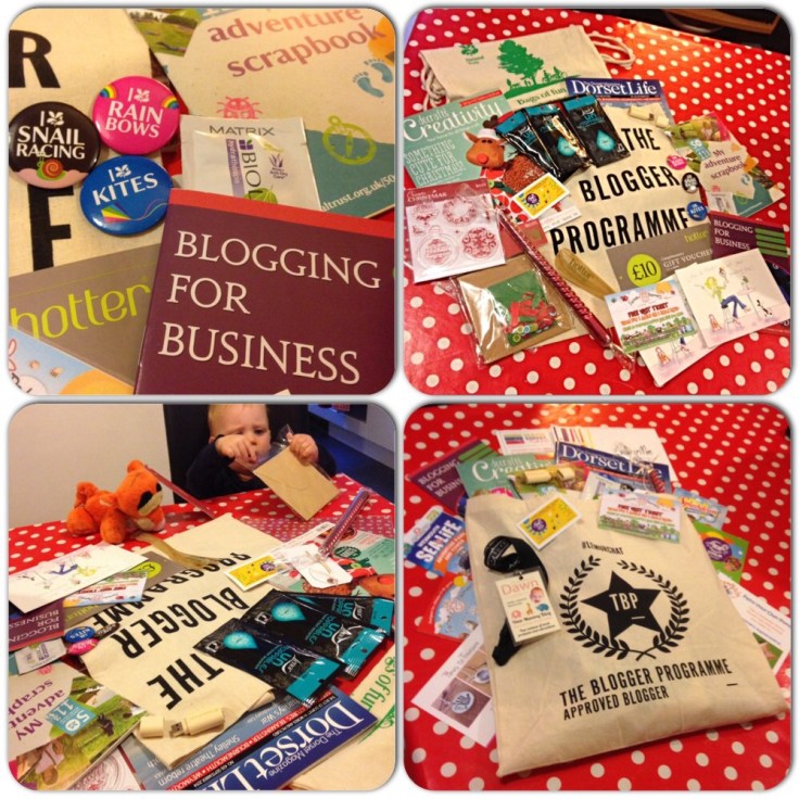 Lemur Linkup Goody Bag