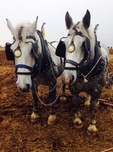The National Ploughing Championships