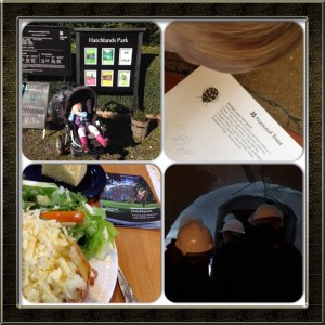 Hatchlands Park tearoom