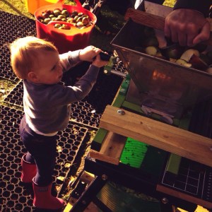 Cider pressing at the Vyne