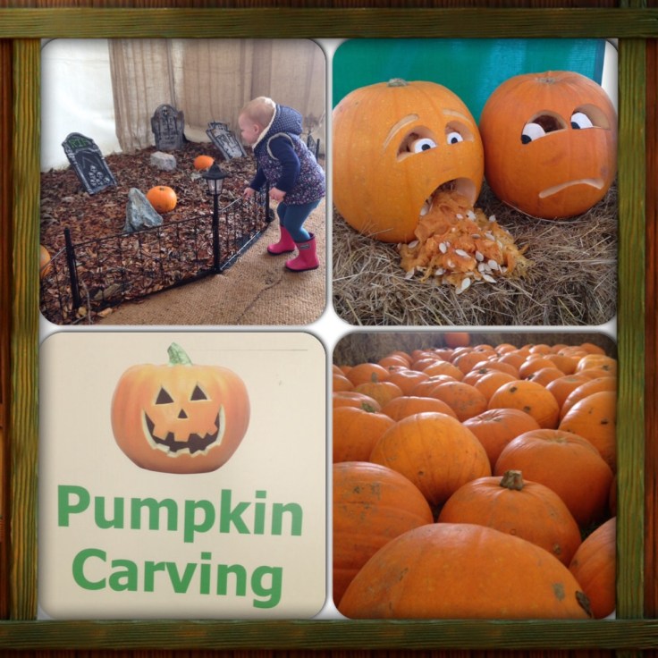 Pumpkins at Manydown