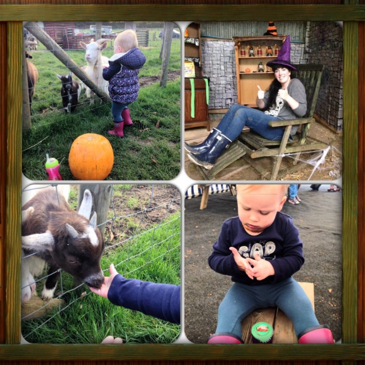 Manydown Farm Halloween