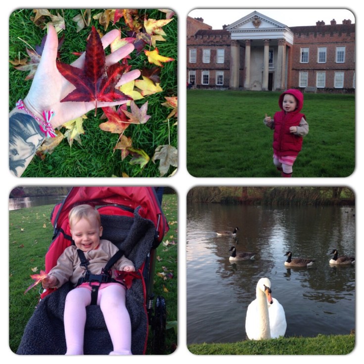 My weekend in pictures 3