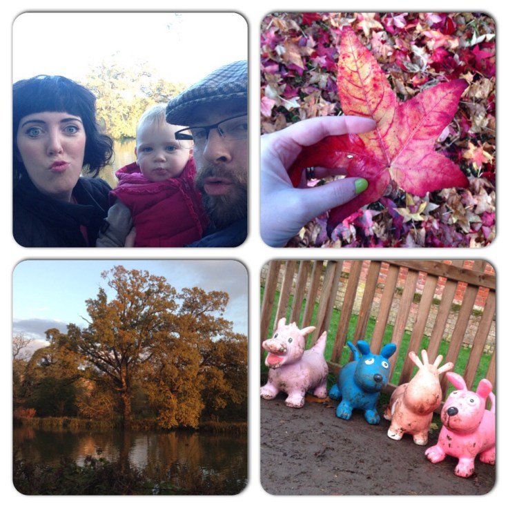 My weekend in pictures 4