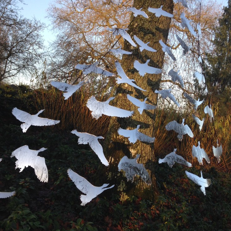 Birds in the Winter Garden at Mottisfont 