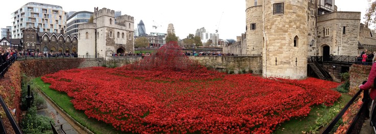Poppies at The Tower of London