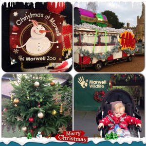 Christmas at Marwell