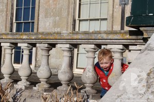 Kingston Lacy National Trust 2