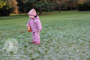 National Trust Mount Stewart