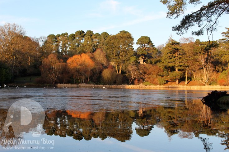 Dear Mummy Blog at National Trust Mount Stewart Lake