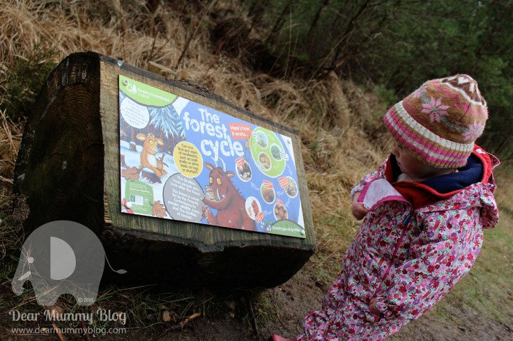 The Gruffalo Trail Moors valley 5