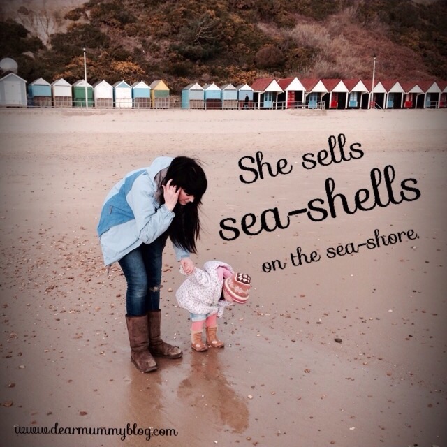 Sea-Shells at Bournemouth