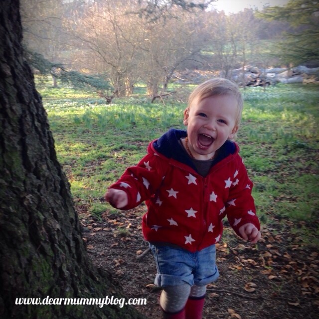 Silent Sunday 8.2.15