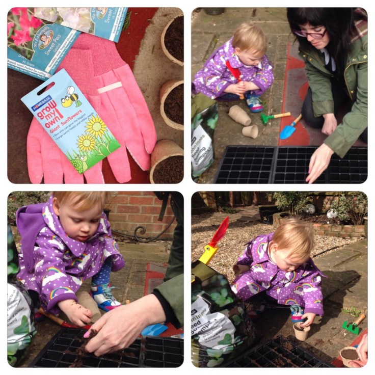 My weekend in pictures