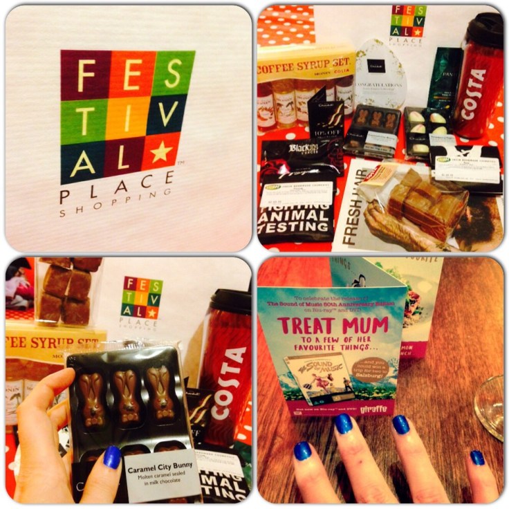 Festival Place Blogger Bag