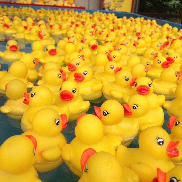 Nice weather for Ducks