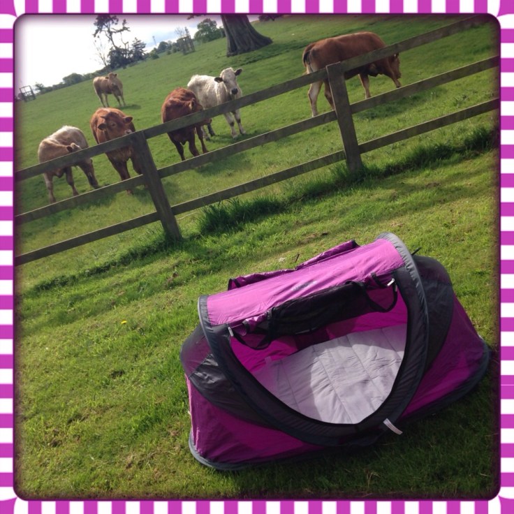 NSA UV Deluxe Travel Cot with Mattress