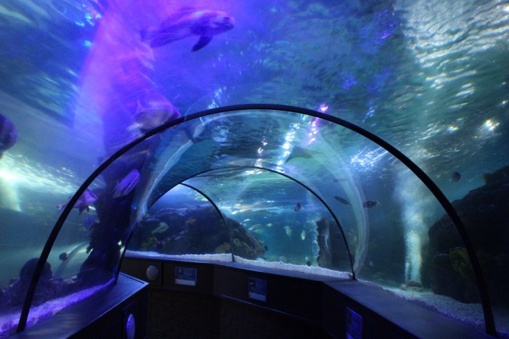 SeaLife Centre Scarborough Beach