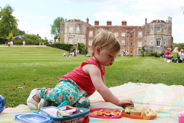 Mottisfont picnic