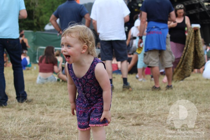 Blissfields-2015-Review