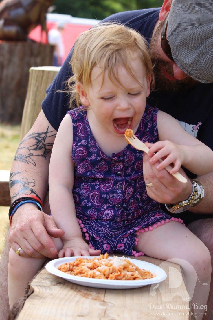 Blissfields-2015-Review-11