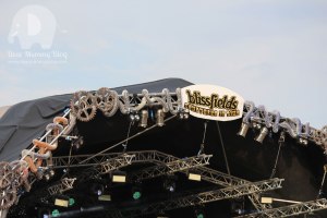 Blissfields-2015-Review-22