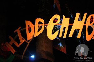 Blissfields-2015-Review-24