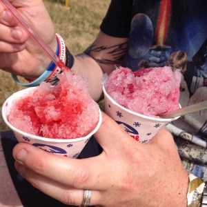 Blissfields Festival Review