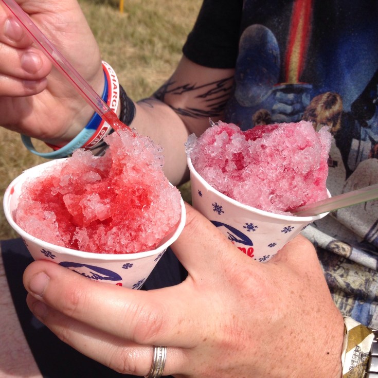 Blissfields Festival Review